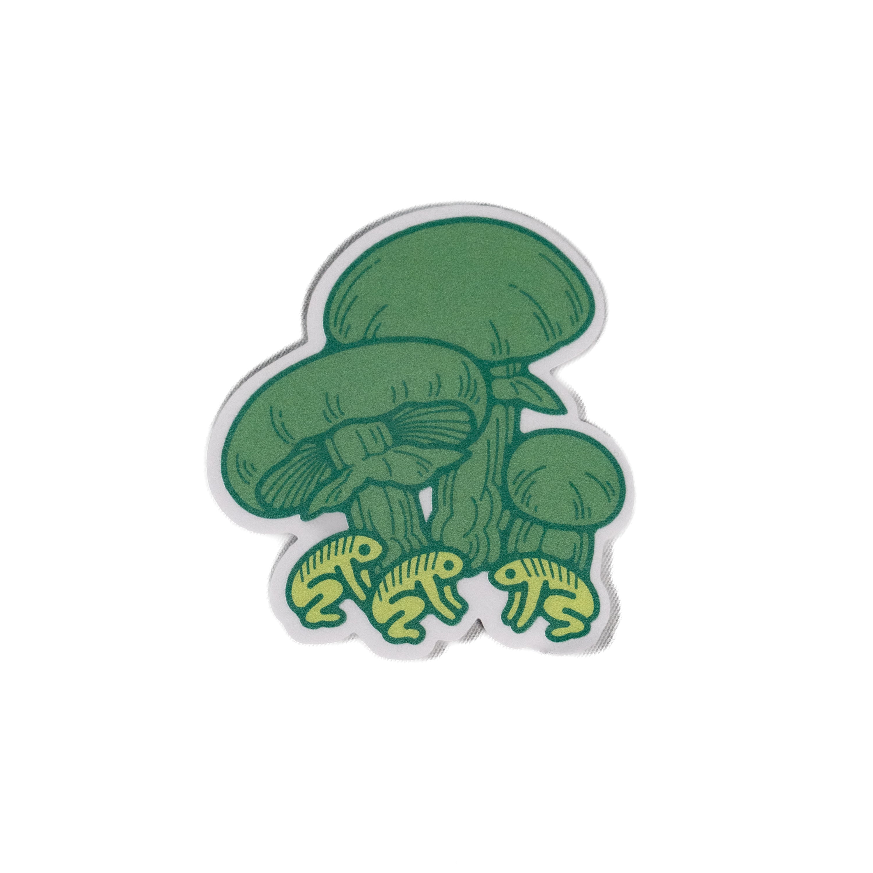 Mushroom Gathering